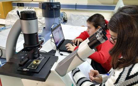 Estudiantes analizando los resultados durante su segunda jornada en el Centro Oeanográfico de Málaga